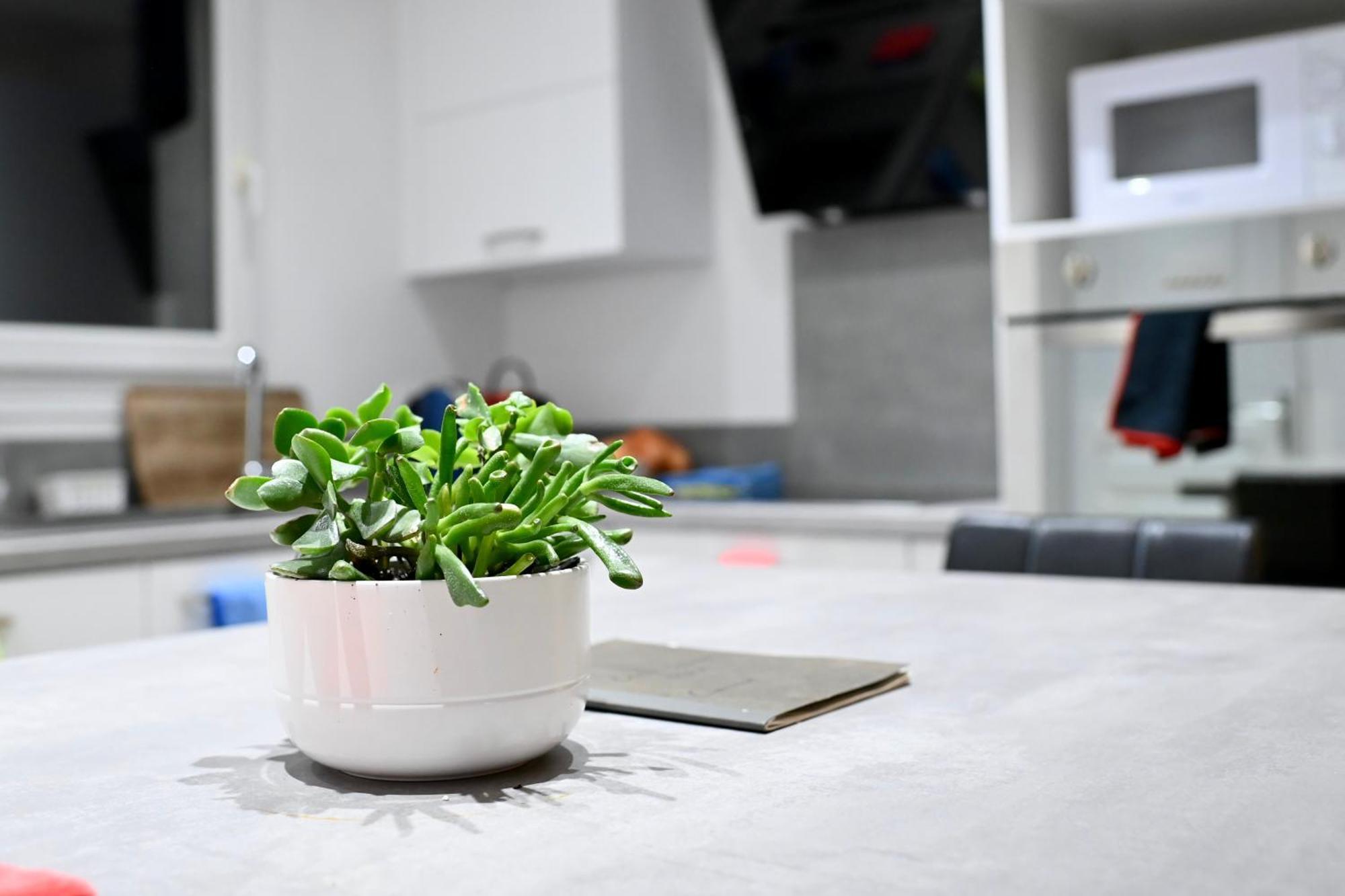 Apartamento Cosy Colour Place Villiers-sur-Marne Exterior foto